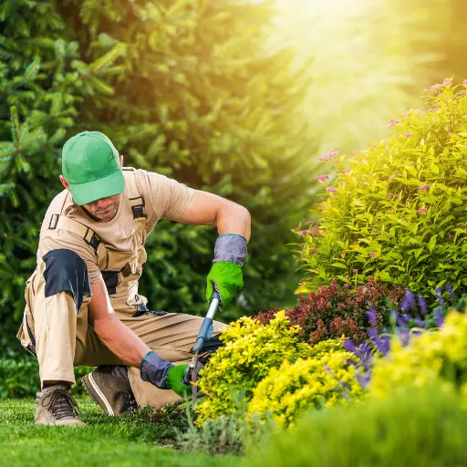 Landscaper in uniform tending to a flower bed with gardening tools on a sunny day.