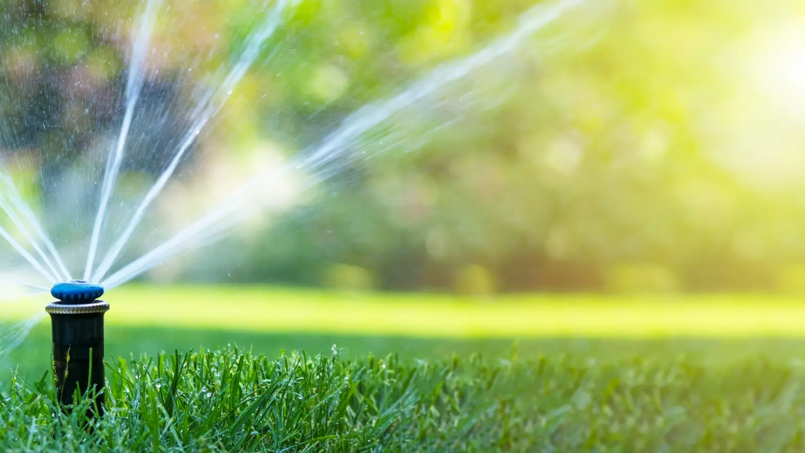 automatic sprinkler system watering a green lawn on a sunny day