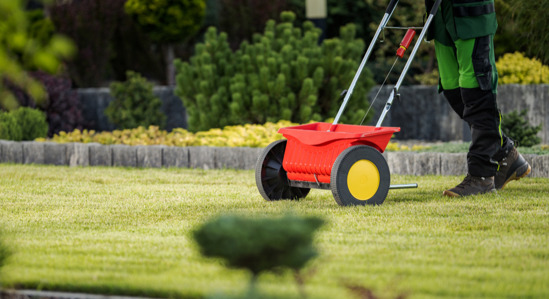 Lawn-Seeding