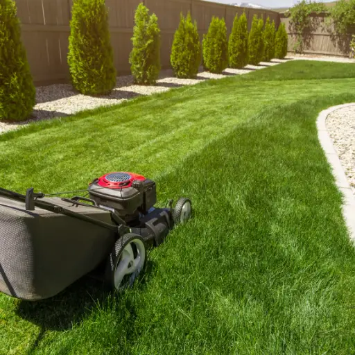 lawn mower cutting green grass in a neatly landscaped backyard