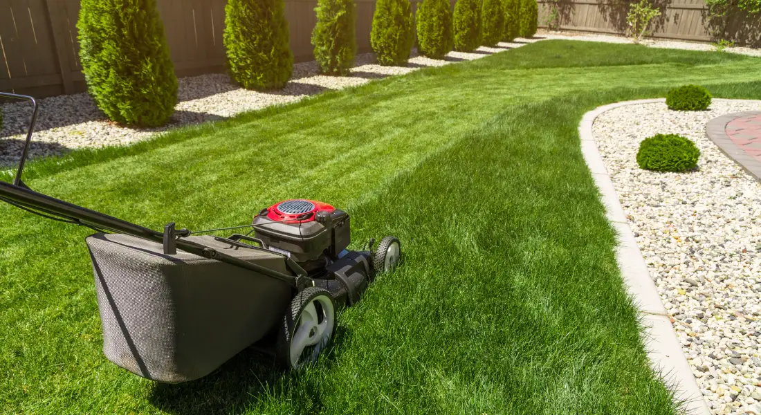 lawn mower on freshly cut green grass next to landscaping stones and shrubs