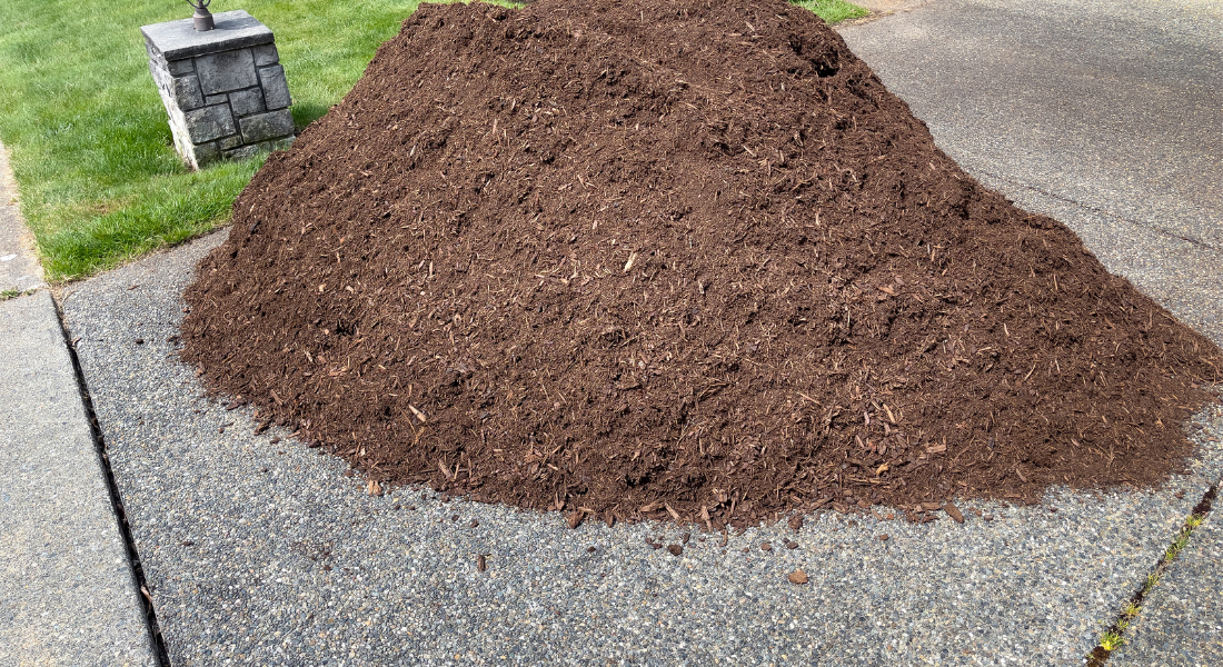 Topsoil
