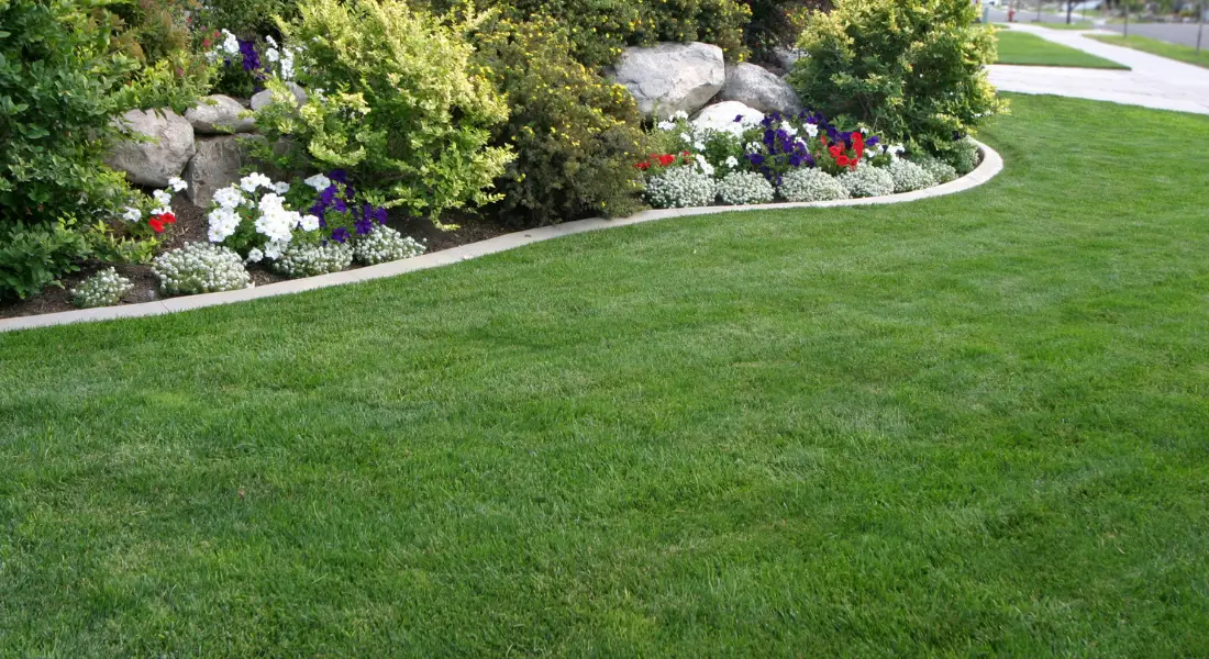 well manicured lawn with curved flower bed and stone edging